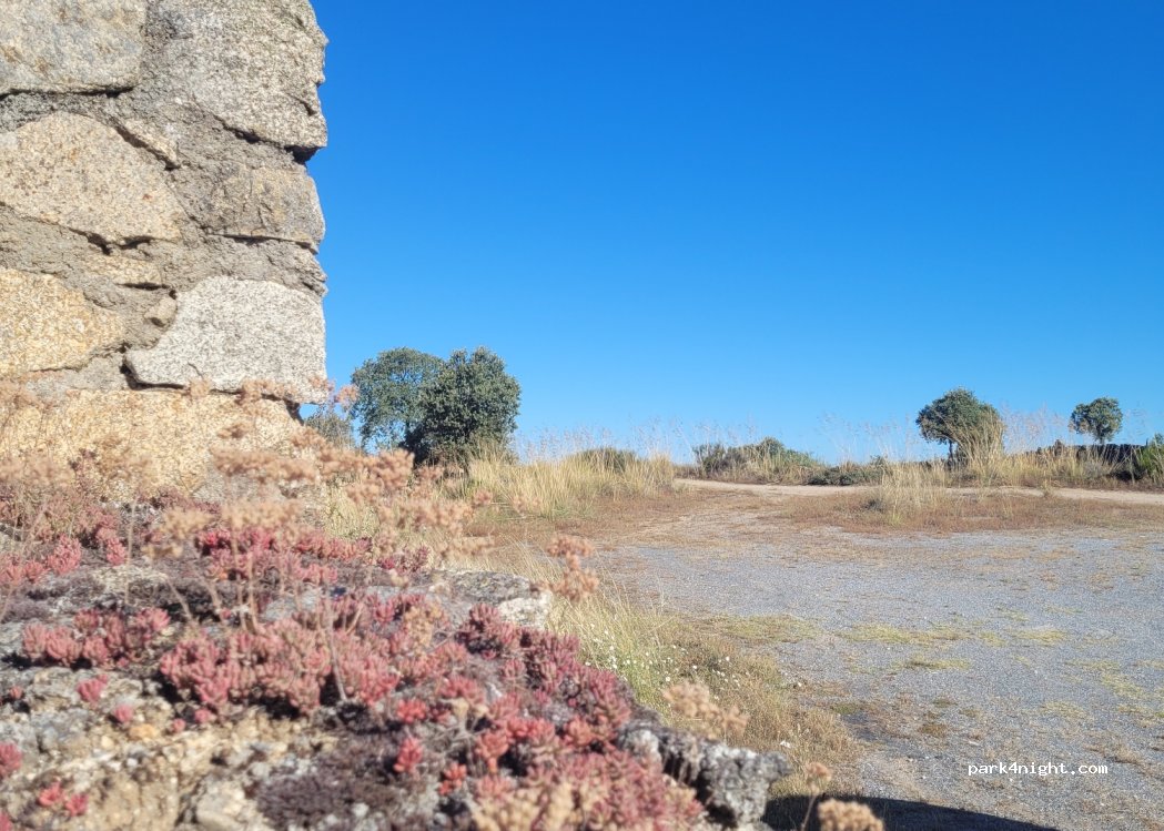 Ledesma, thumbnail 2