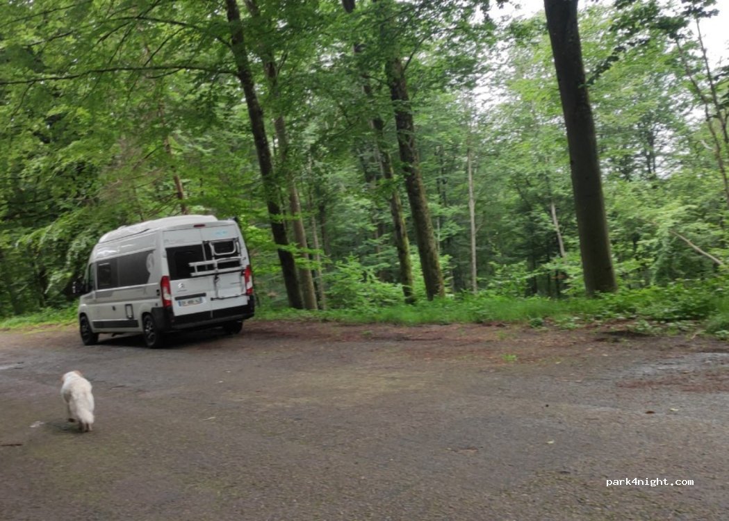 () Fougerolles-Saint-Valbert - - Photo 2