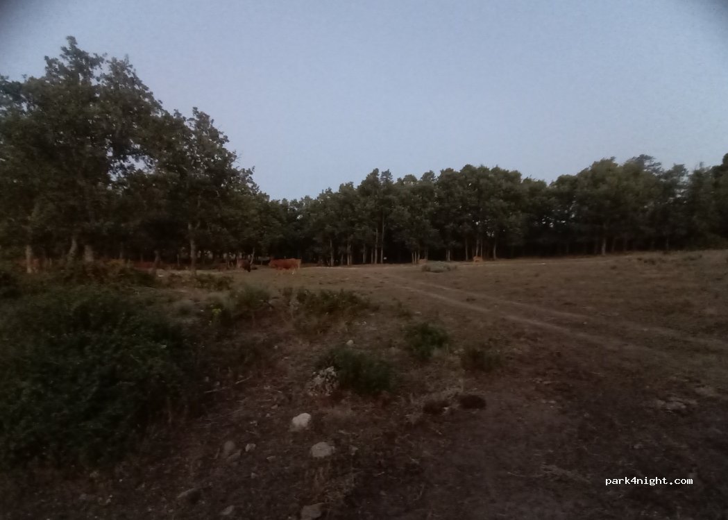 Villamiel, thumbnail 2