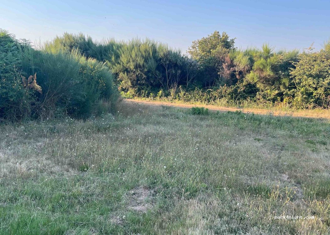 Terrenho, thumbnail 2