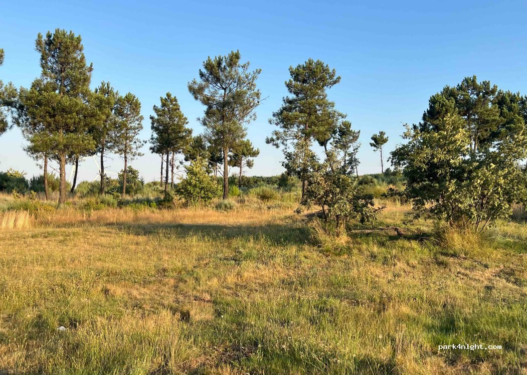 Terrenho, thumbnail 3