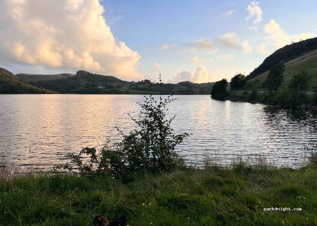 Undheim - Sekundær Fylkesveg 201 photo 2