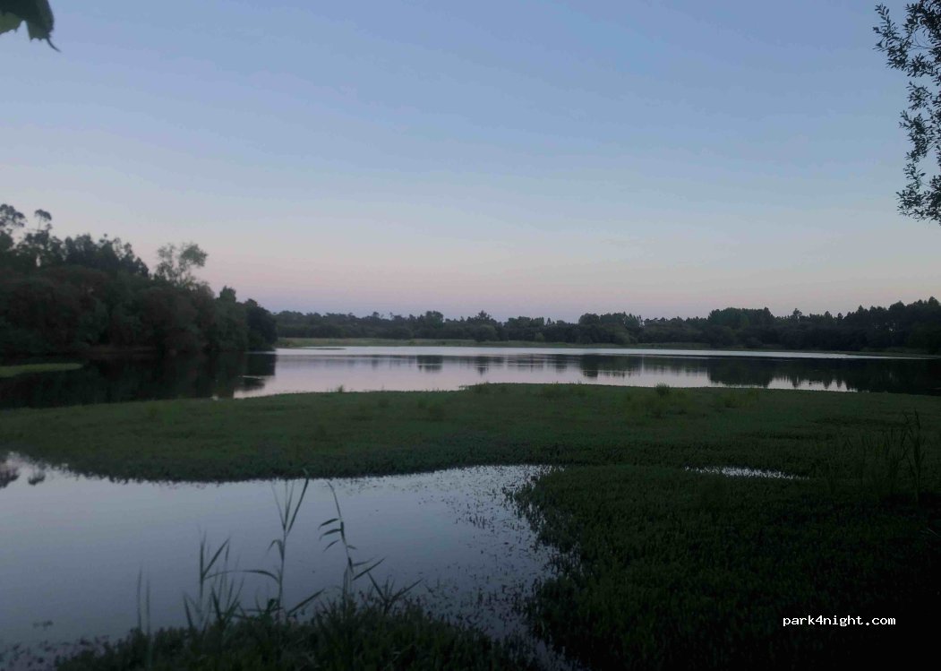 Tocha, Portugal, thumbnail 4