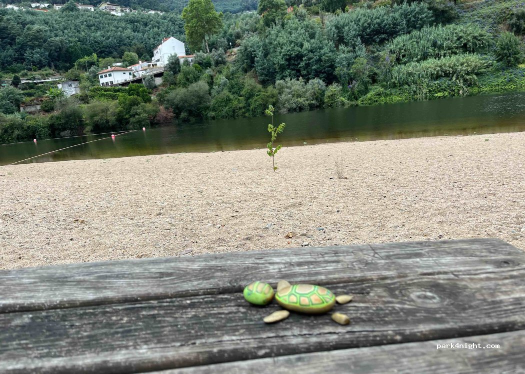 Coimbra, 15 Rua Rio thumbnail 3