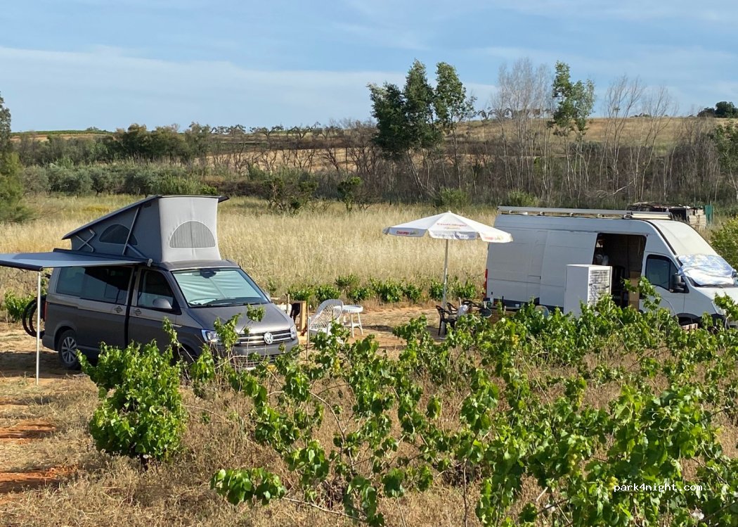 Finca La Libertad thumbnail 2