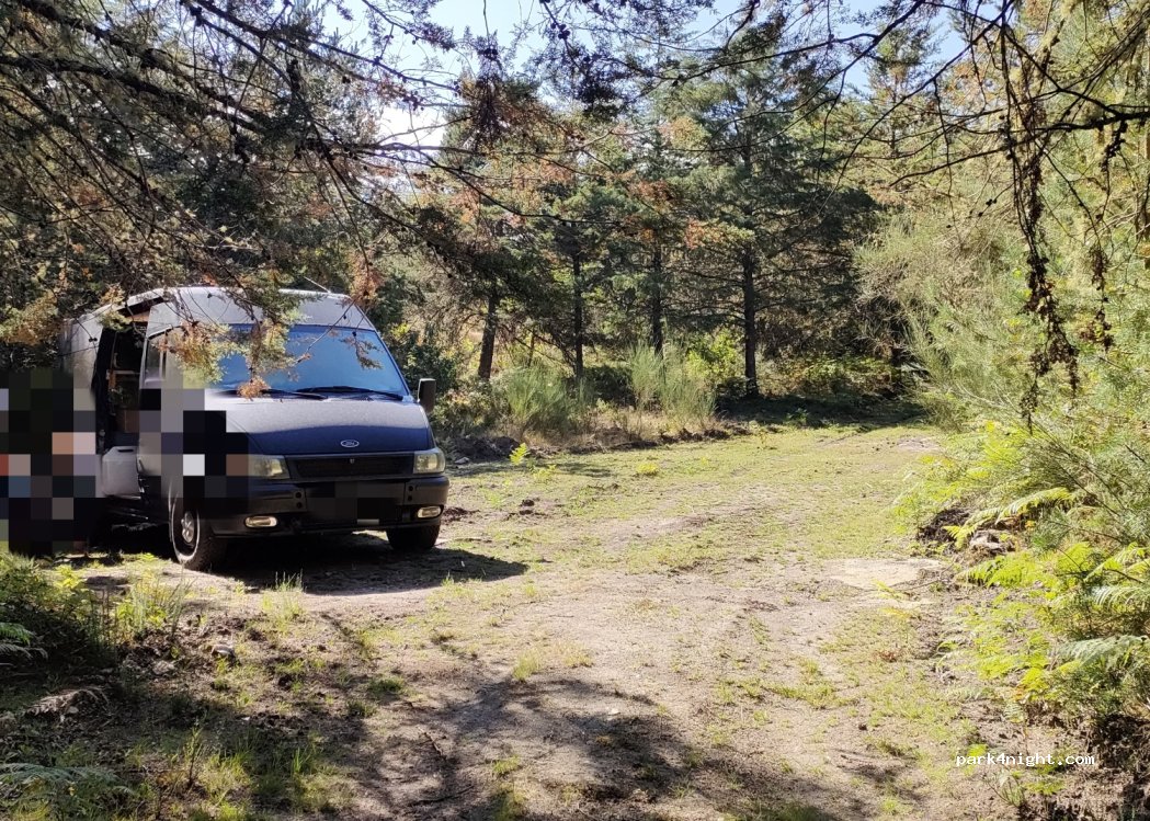 Painzela, thumbnail 2