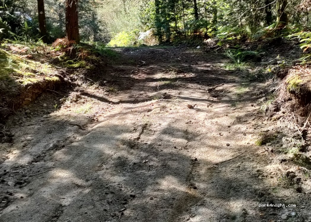 Painzela, thumbnail 3