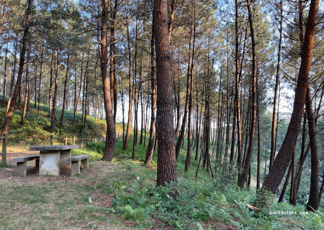 Bonaval,Unnamed Road thumbnail 4