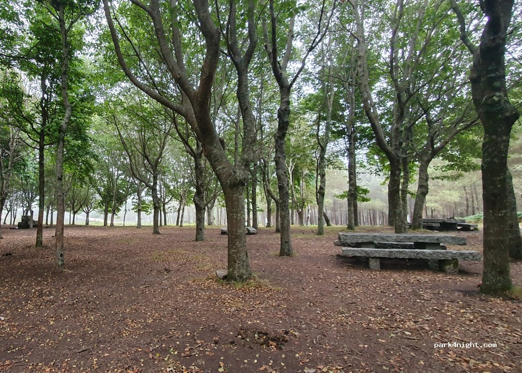 Oia,Unnamed Road thumbnail 3