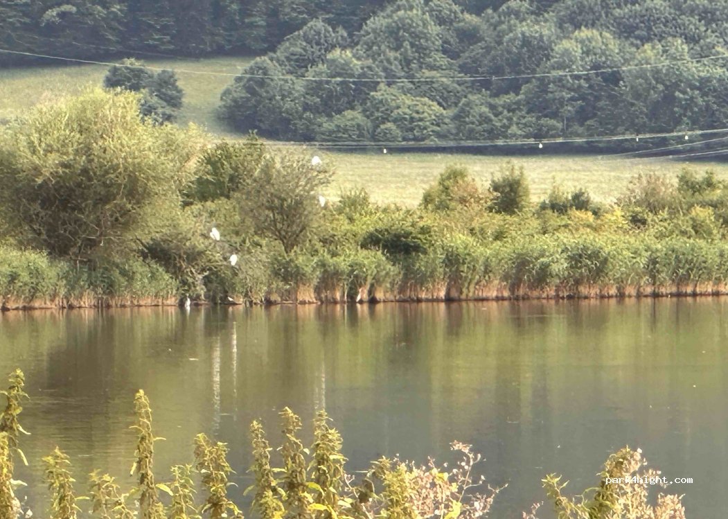 (049 44) Hrhov - Unnamed Road photo 4