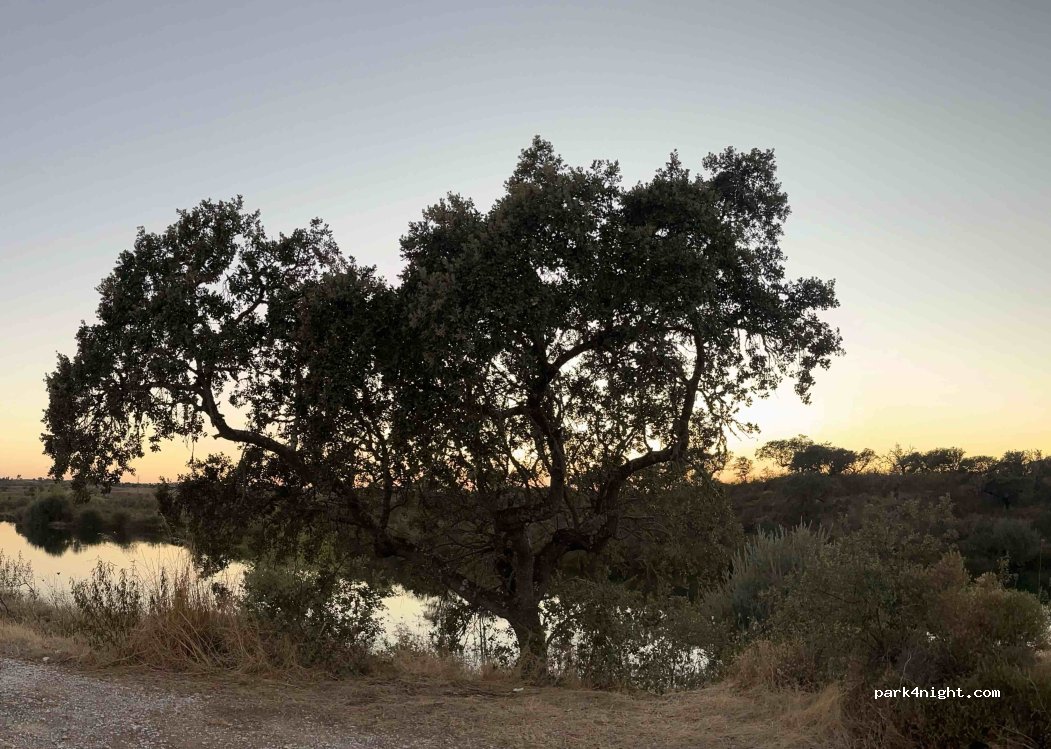 Monte do Trigo,  Unnamed Road thumbnail 4