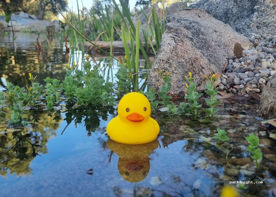 Póvoa de Rio de Moinhos, thumbnail 4