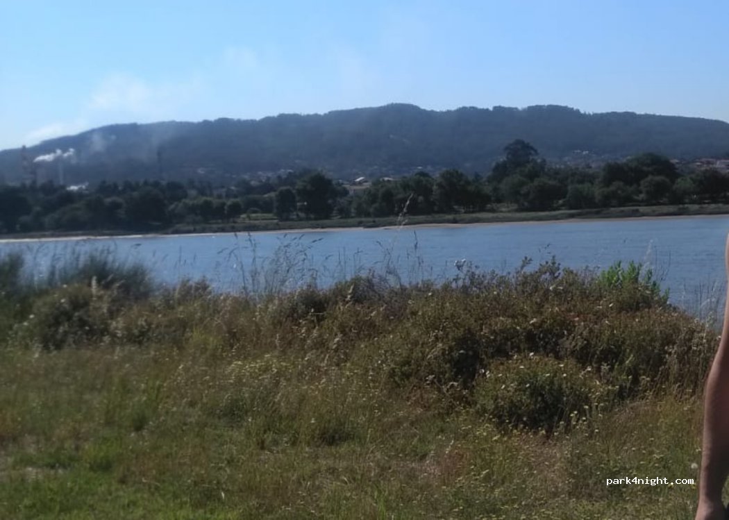 Cardielos,164 Rua de Porto - photo 1