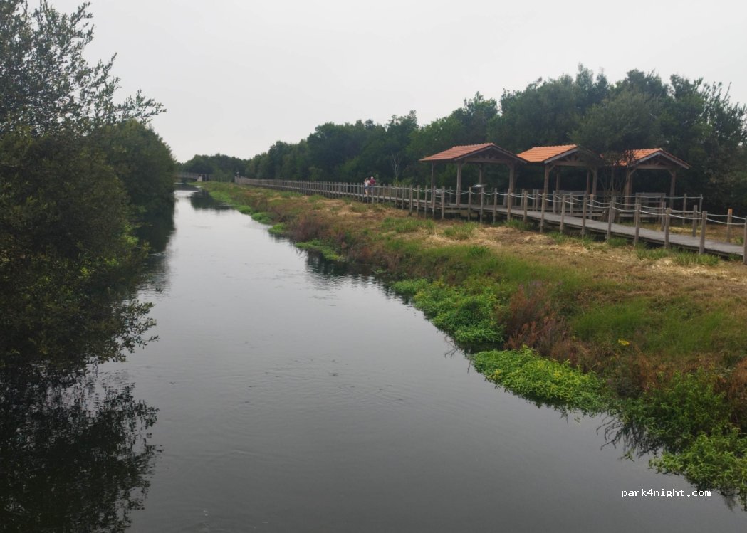 Esmoriz, 503-279 3885-567 Rua dos Tanoeiros thumbnail 2