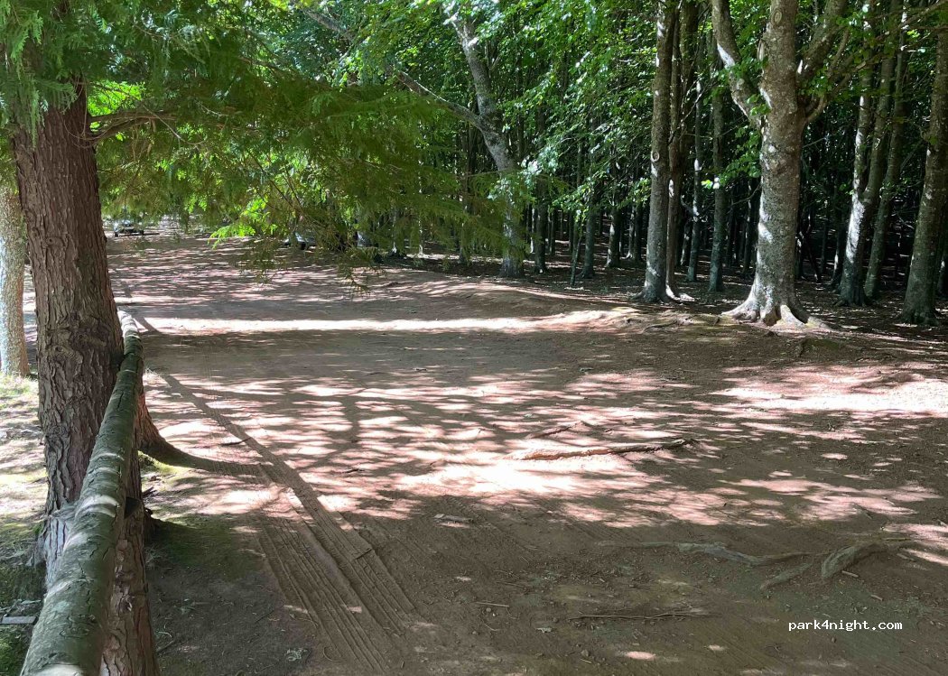 Santo António da Serra,ER202