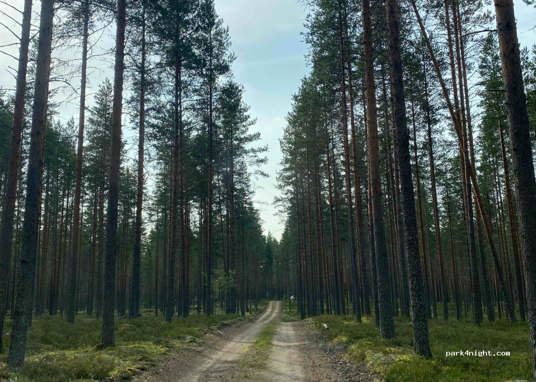 Saarijärvi - Unnamed Road - Photo 2