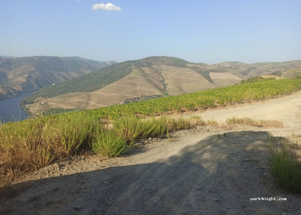 Valença do Douro, thumbnail 2