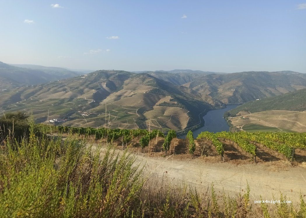 Valença do Douro, thumbnail 3