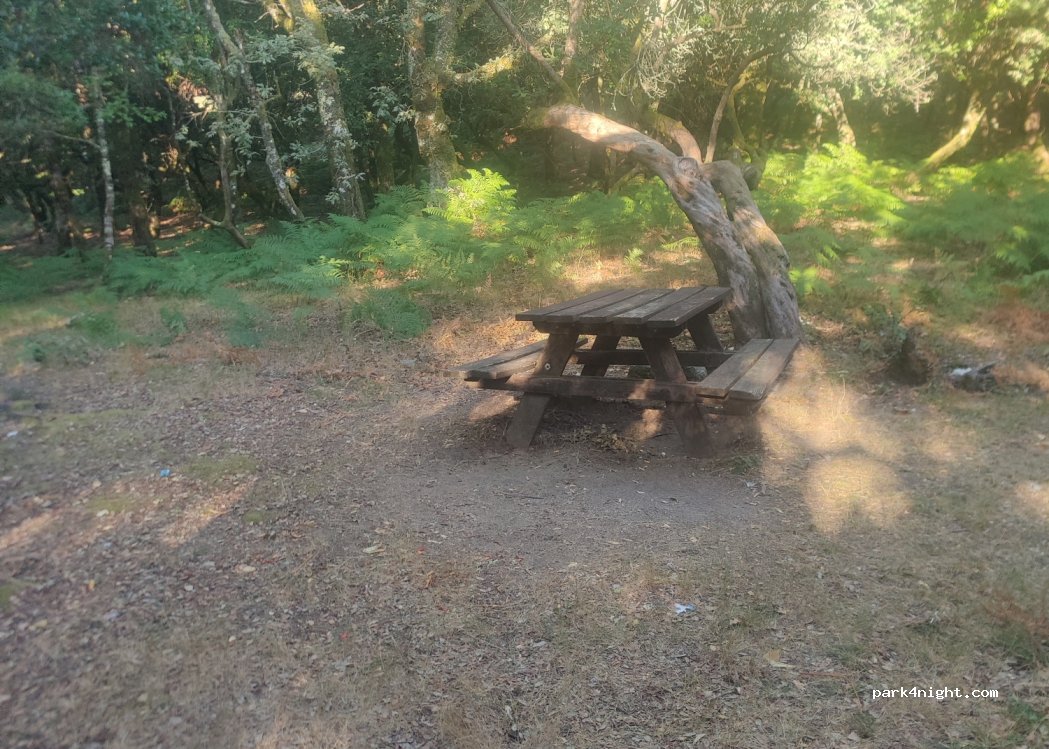 Cabril,N308 - photo 1