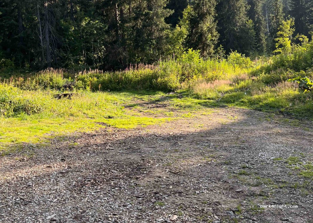 Montriond - D338 photo 3