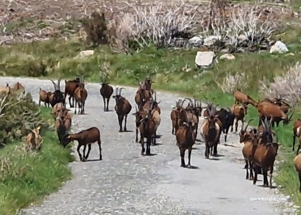 Vinhós, thumbnail 3