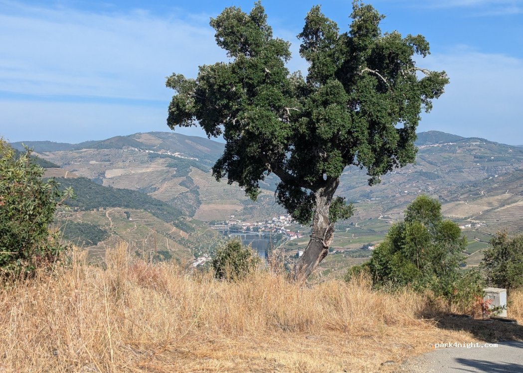 São João da Pesqueira, thumbnail 4