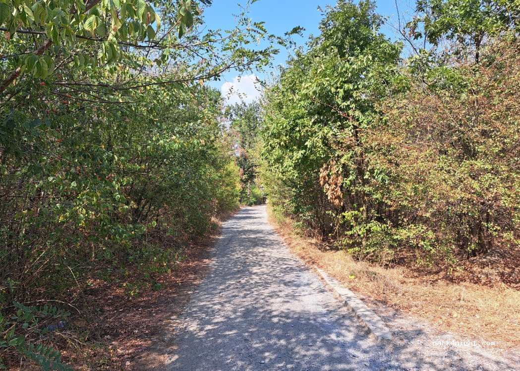 Koprinka - Unnamed Road photo 3