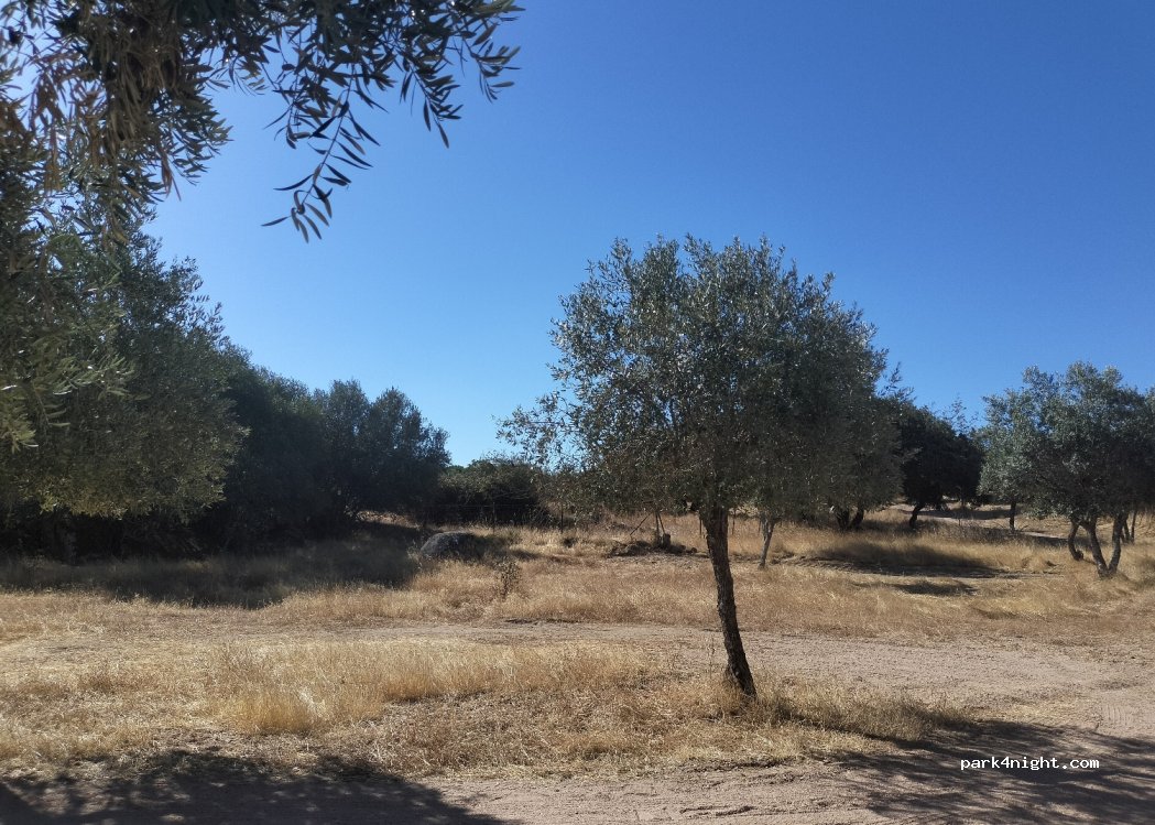 Arronches, thumbnail 4