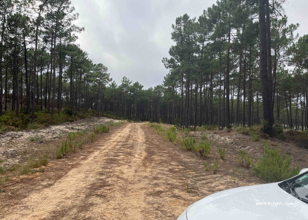 Nazaré, thumbnail 2