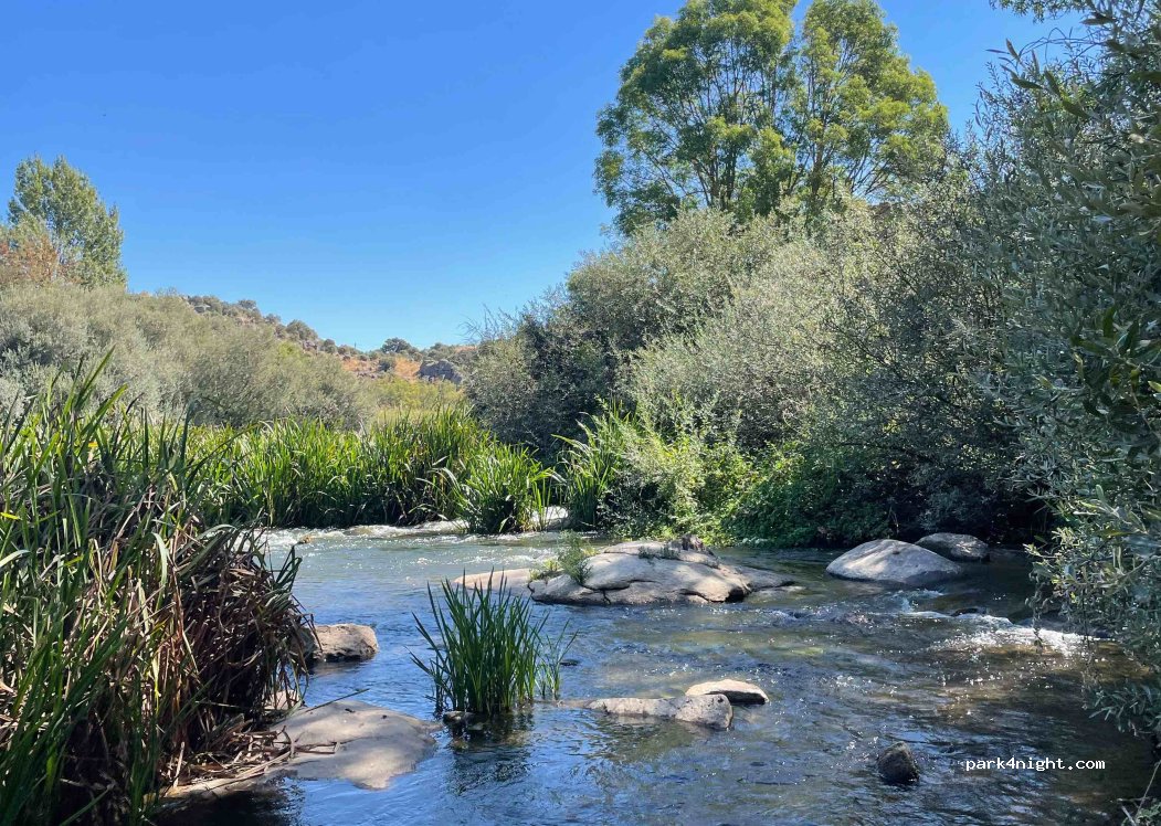 Ledesma, 12 Calle Tenerías thumbnail 3