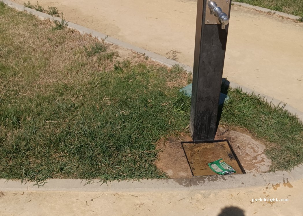 Moguer, 181 Avenida de la Constitución thumbnail 3