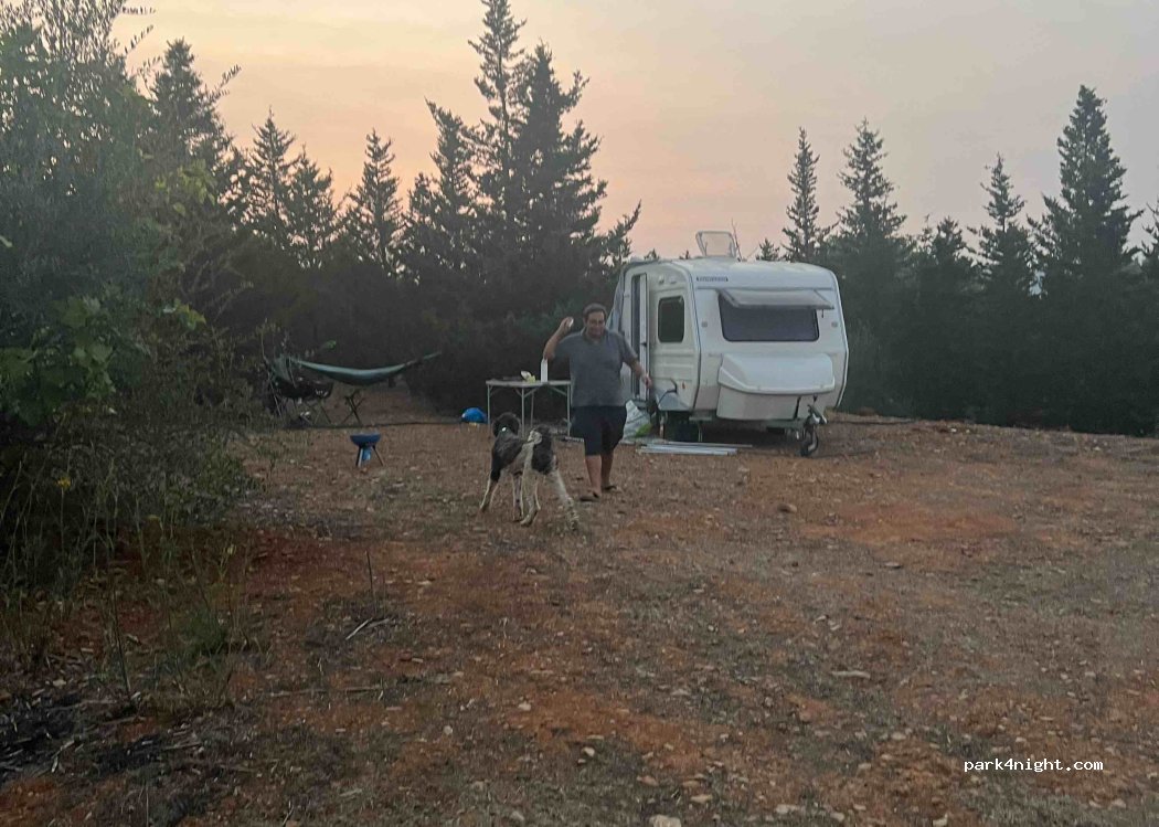 Bela Glamping & Caravan Parking thumbnail 2