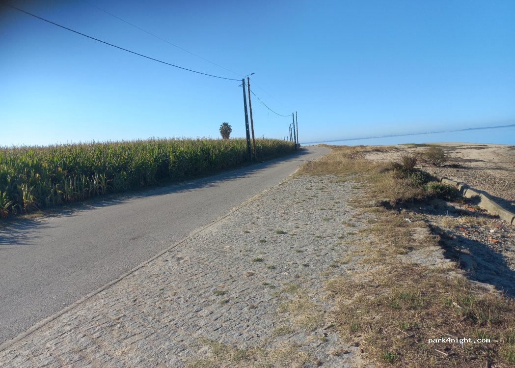 Murtosa, 210 EM1388 thumbnail 4