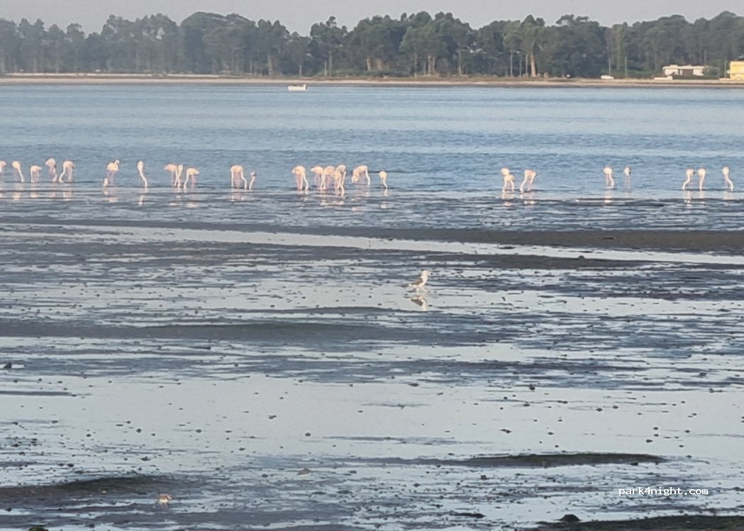 Bunheiro, 185 Marginal Padre António thumbnail 4