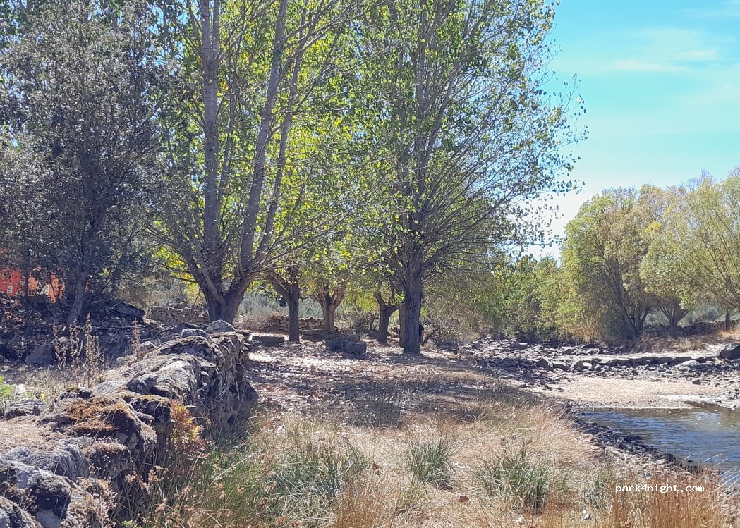 Peva,  N340 thumbnail 3