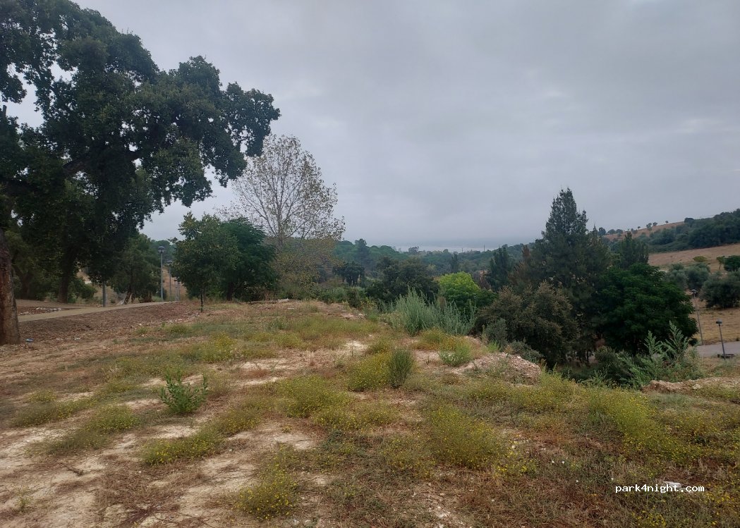 Montargil,Estr. do Poco thumbnail 2