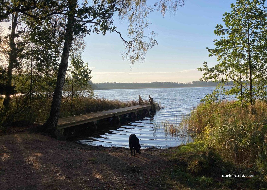 Gulbene - Unnamed Road photo 4