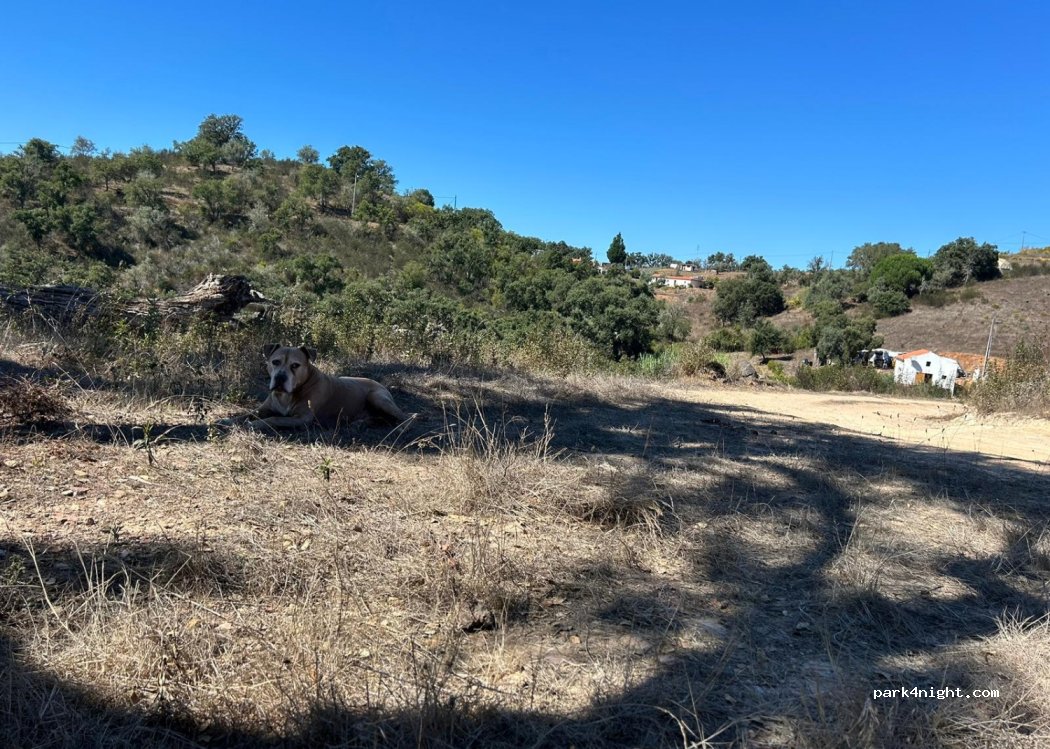 Odemira, thumbnail 2