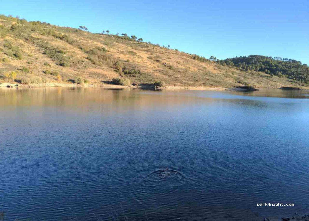 , EM556-1 thumbnail 3