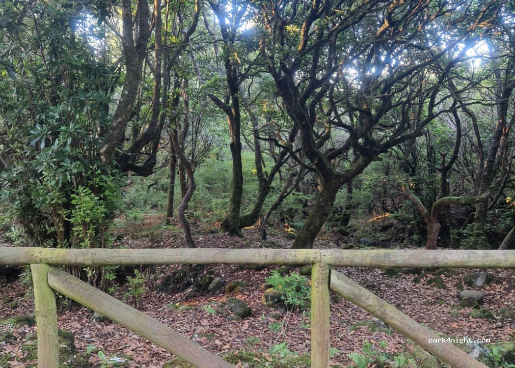 Ribeira da Janela,ER209 thumbnail 2