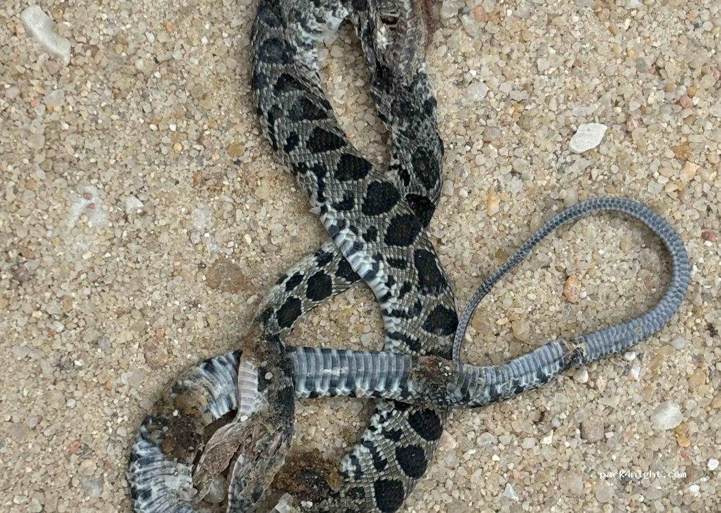 Santa Susana,  Unnamed Road thumbnail 2