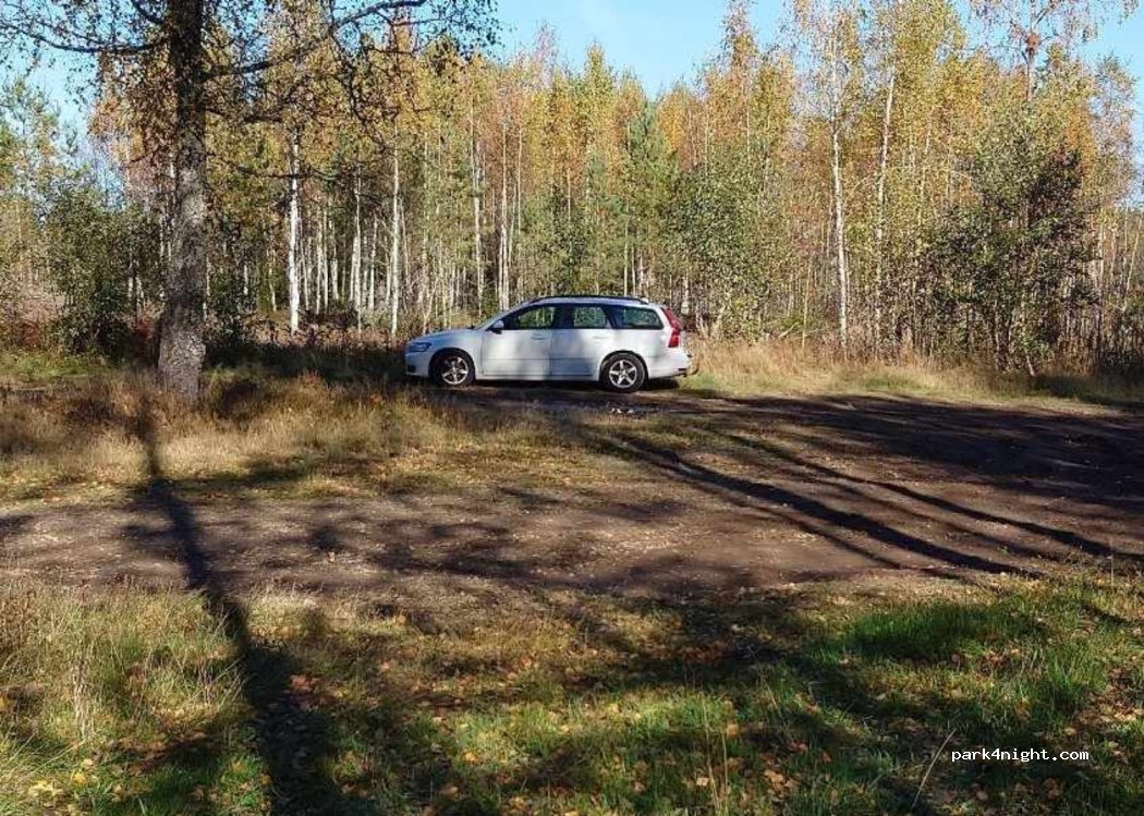 12 LJUSEBRÅTEN photo 4