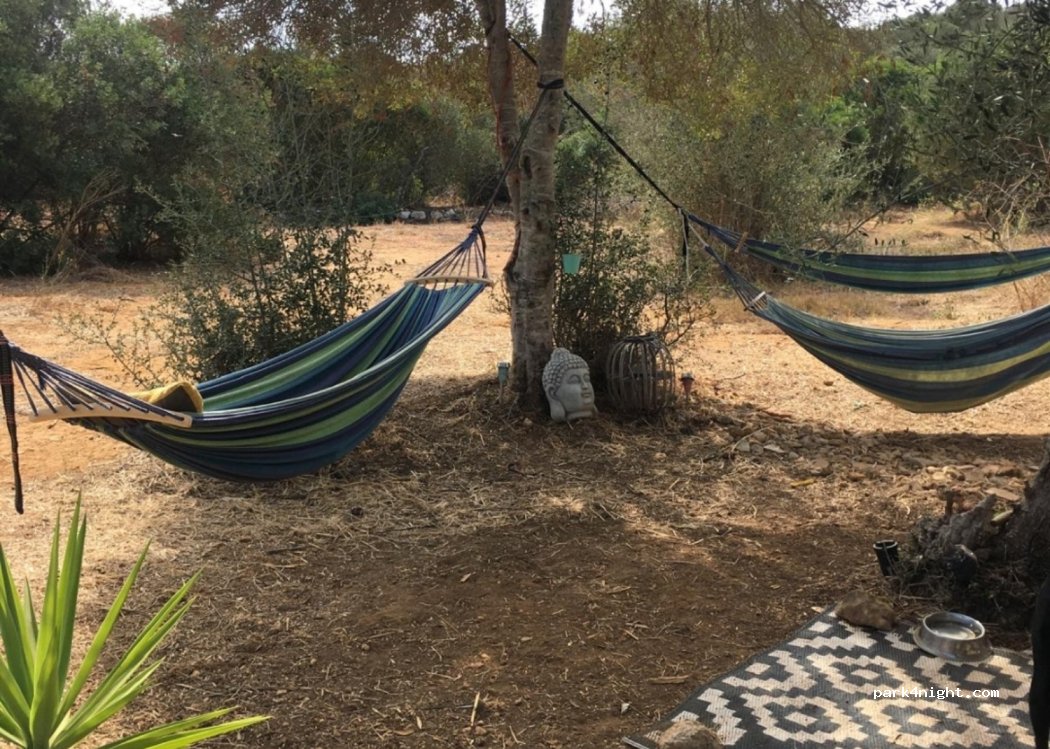 Barão de São João, thumbnail 2