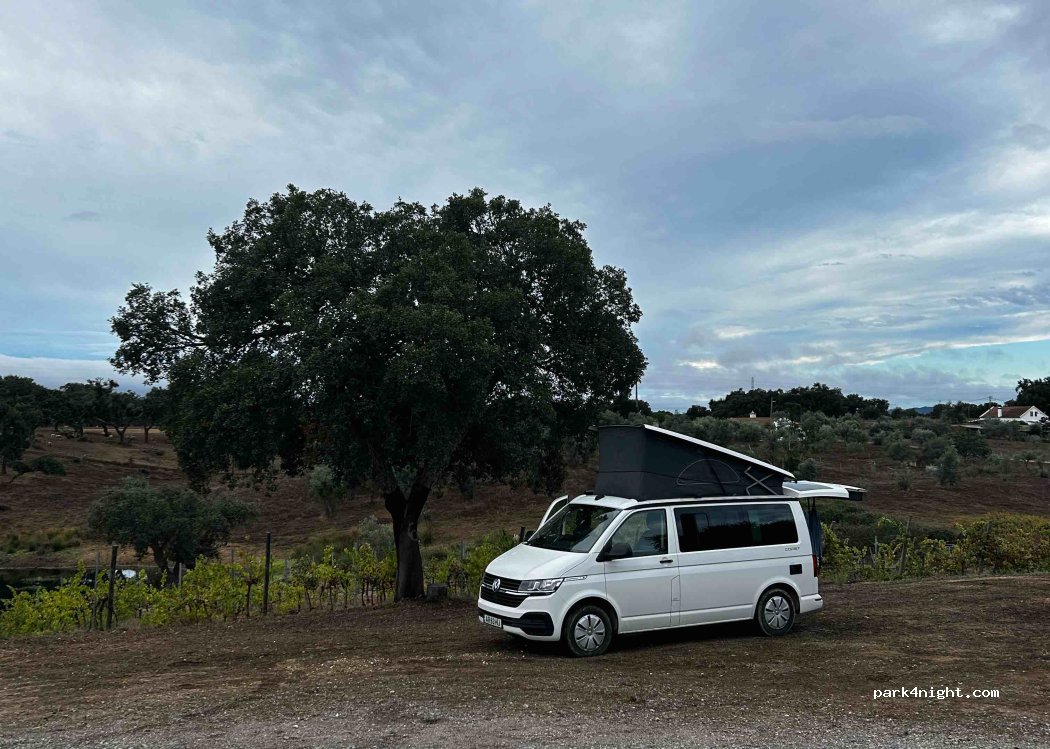 Adega dos Nascedios thumbnail 4