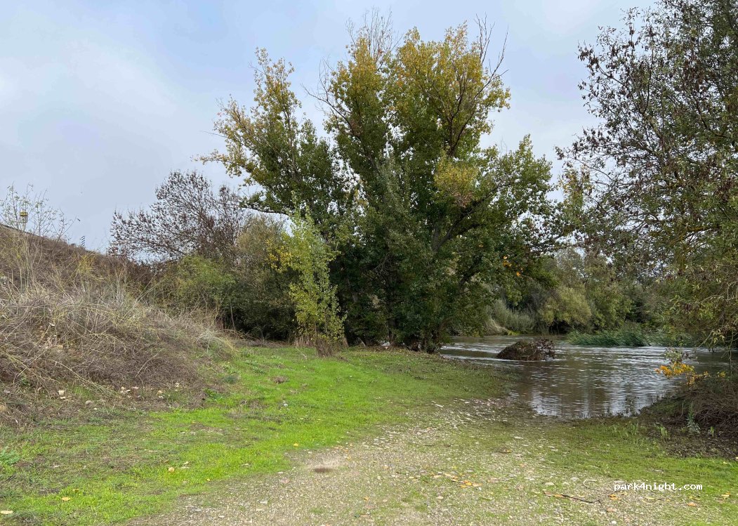 Riolobos,CC-5.4 thumbnail 4