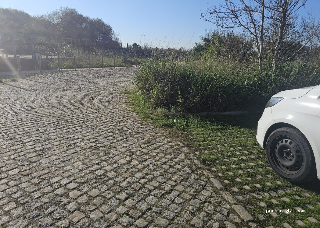 Paramos, 650 Rua da Lomba thumbnail 2