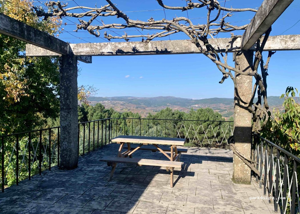 Sabrosa,  N323 thumbnail 4