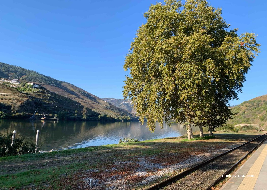 Sabrosa, CM1268 thumbnail 5