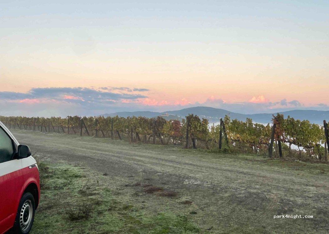 São João da Pesqueira,Unnamed Road thumbnail 5