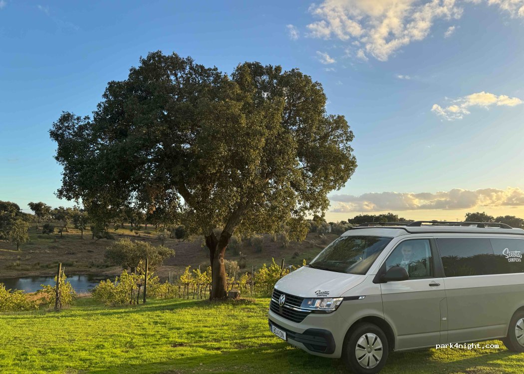 Adega dos Nascedios thumbnail 5